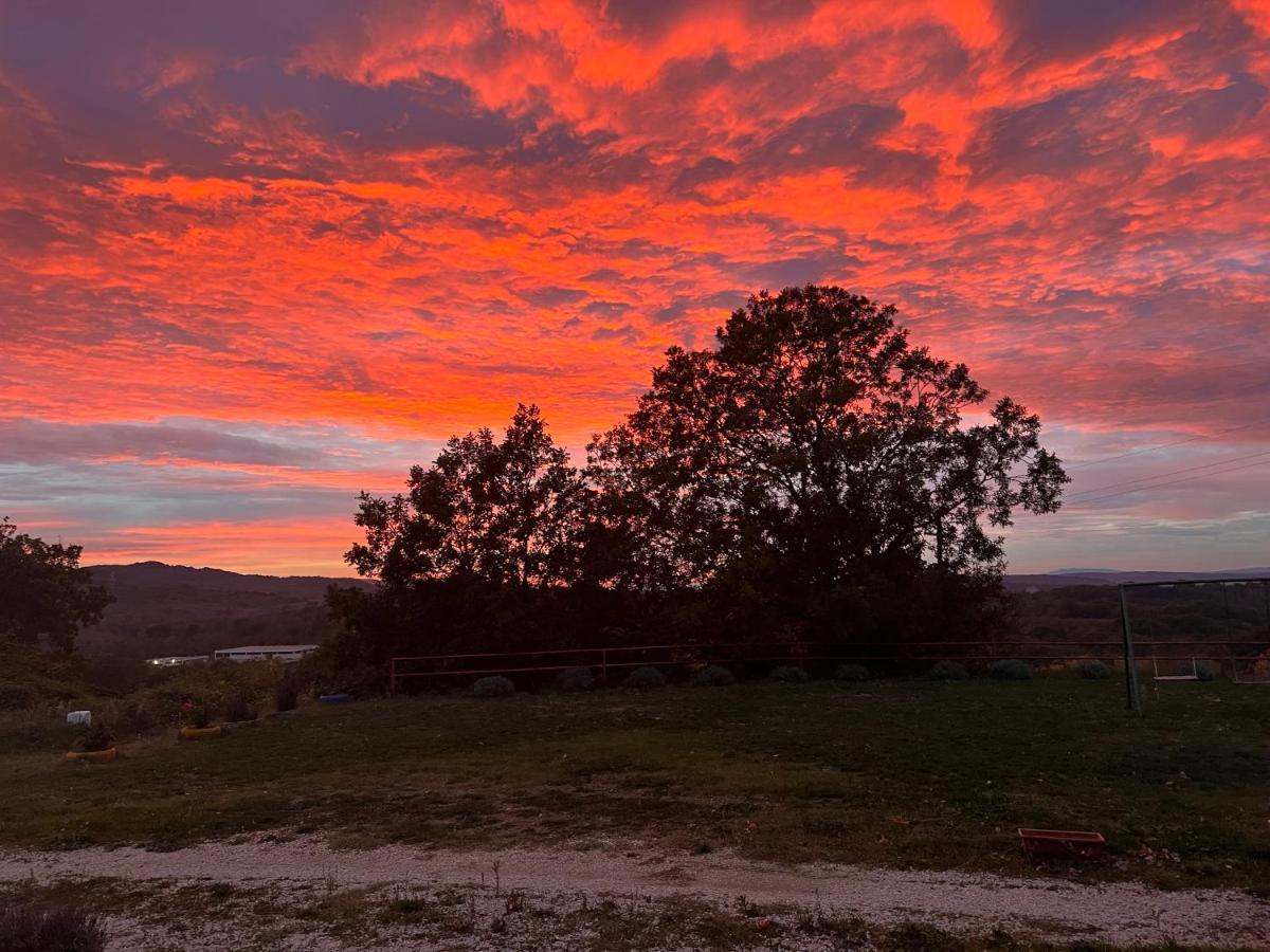 Barbarano Romano B&B Il Tramonto المظهر الخارجي الصورة