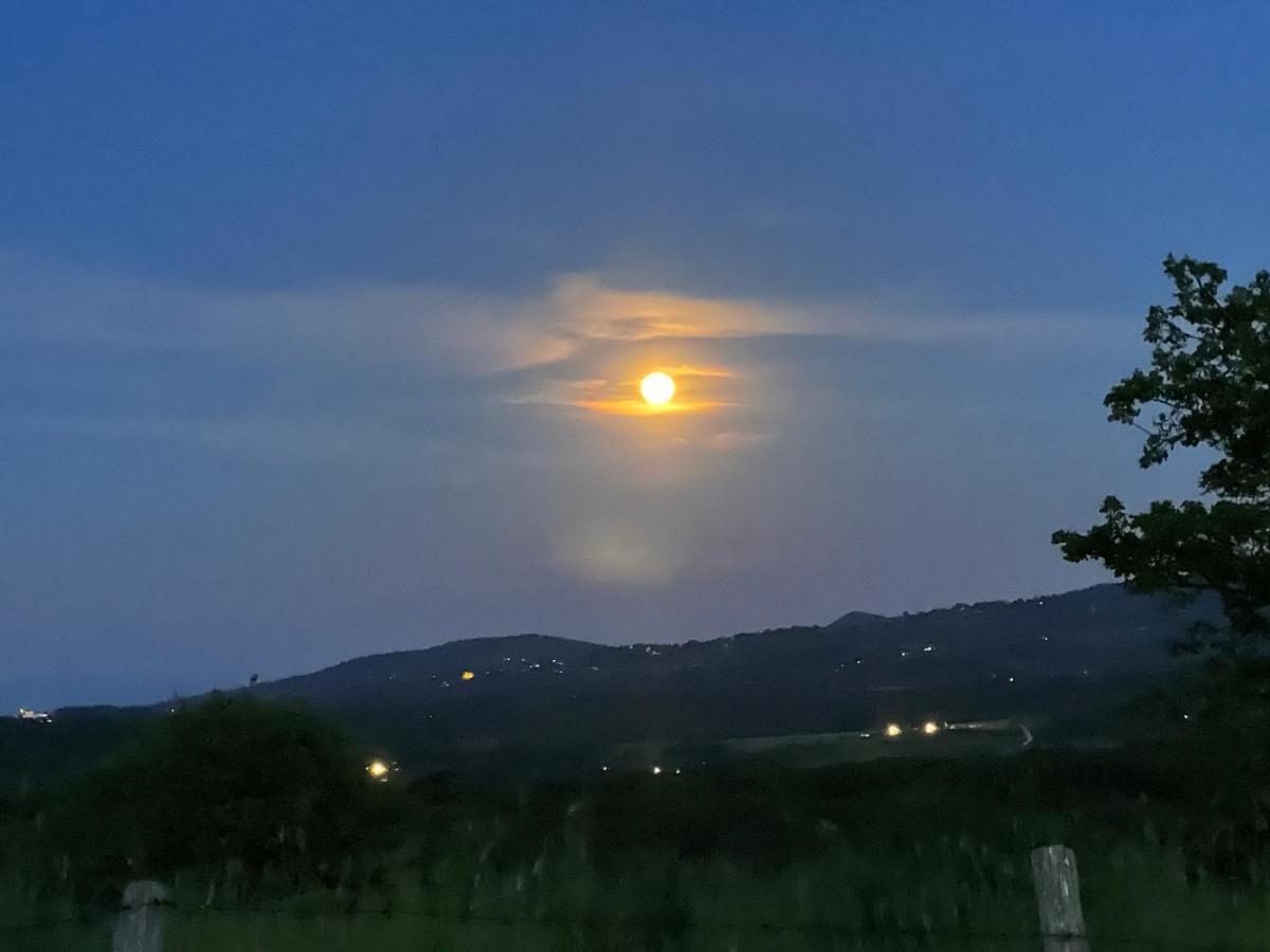 Barbarano Romano B&B Il Tramonto المظهر الخارجي الصورة